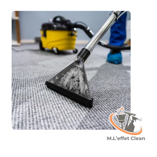 nettoyage diogene hede